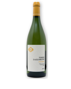 Terre Lazzaroni 'Barabba' Friulano 2018