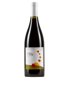 Jean Louis Tribouley l'Alba Tribouley 2020