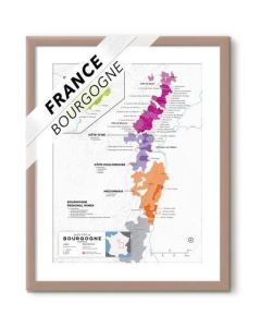 Wine Folly Wine Map France-Burgundy