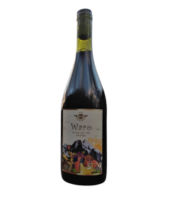 Gustavo Martinez 'Waro' Pais 2019