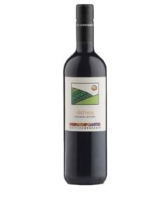 Correggia Roero Anthos Brachetto 2024