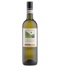 Correggia Roero Arneis 2025