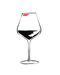 WSET Level 2 Award in Wines ONLINE 4 September to 8 October 2023