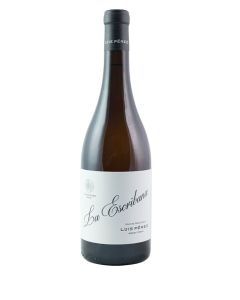 Luis Perez 'La Escribana' Palomino de Pasto 2024