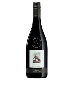 Two Hands Gnarly Dudes Shiraz 2024 375ml