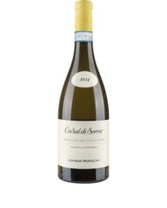 Umani Ronchi CaSal di Serra Verdicchio 2024