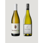 Oregon Pinot Gris Mixed 6 Pack 2022