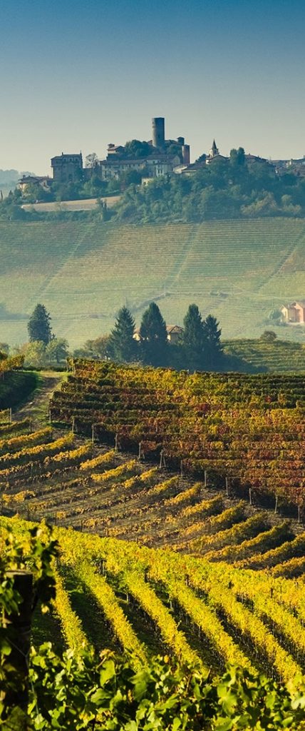 Festa del Barolo