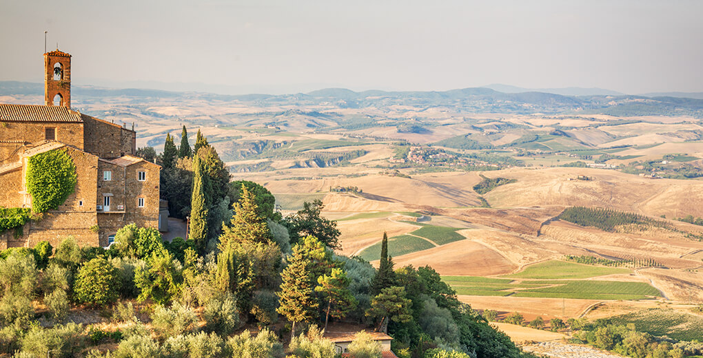 Brunello di Montalcino 2021's - There is a lot to love!