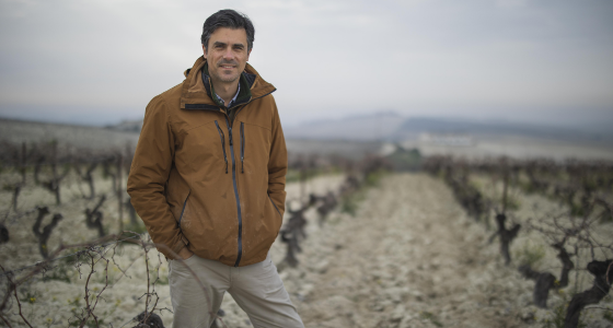 Bodegas Luis Perez - The Finest Producer of Unfortified Wines in Jerez