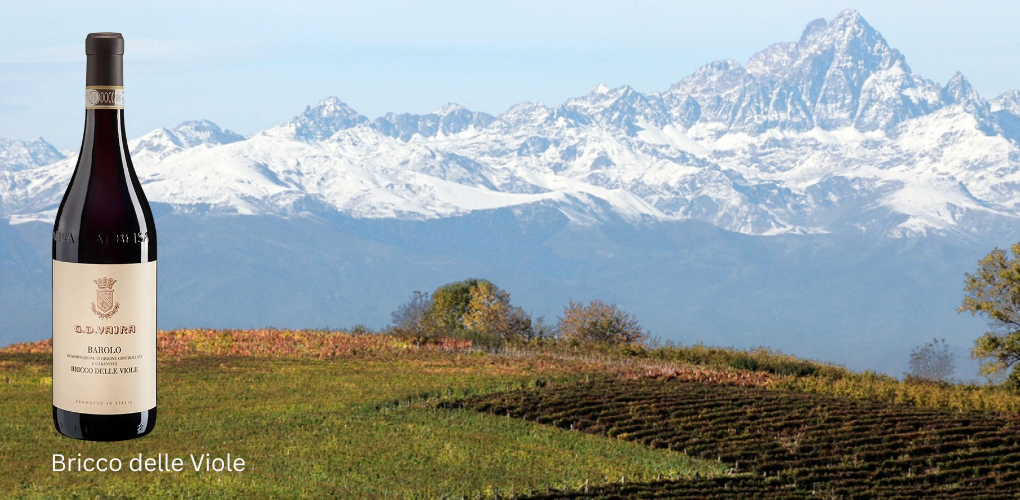 Vajra Barolo Crus 2022